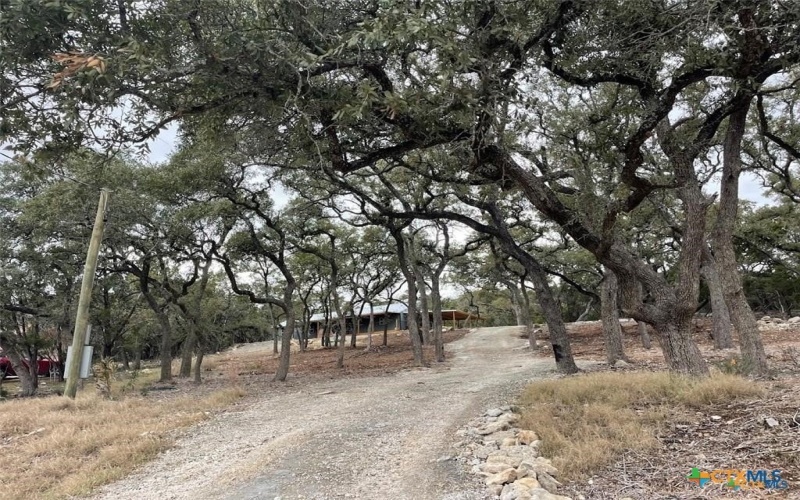 1420 Stallion Springs Drive, Fischer, TX 78623, 3 Habitaciones Habitaciones , ,2 BañosBaños,Residential,En Venta,1420 Stallion Springs Drive,588463