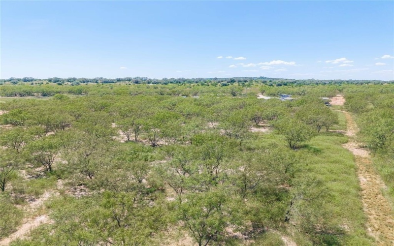 16107 County Road 211, Brookesmith, TX 76827, 9 Bedrooms Bedrooms, ,6 BathroomsBathrooms,Residential,For Sale,16107 County Road 211,21020726