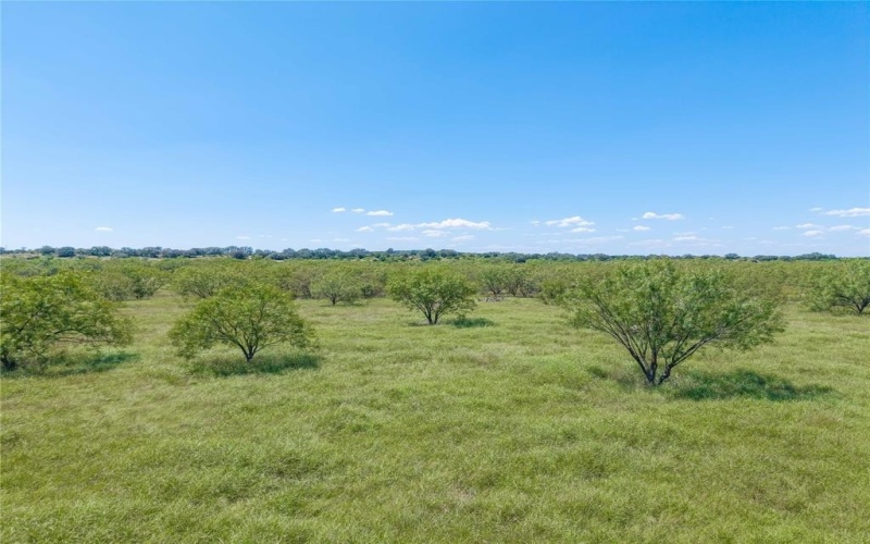 16107 County Road 211, Brookesmith, TX 76827, 9 Bedrooms Bedrooms, ,6 BathroomsBathrooms,Residential,For Sale,16107 County Road 211,21020726