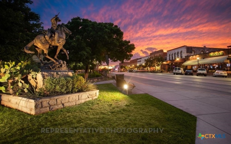 340 Fountain Grass Drive, San Marcos, TX 78666, 3 Habitaciones Habitaciones , ,2 BañosBaños,Residential,En Venta,340 Fountain Grass Drive,588679