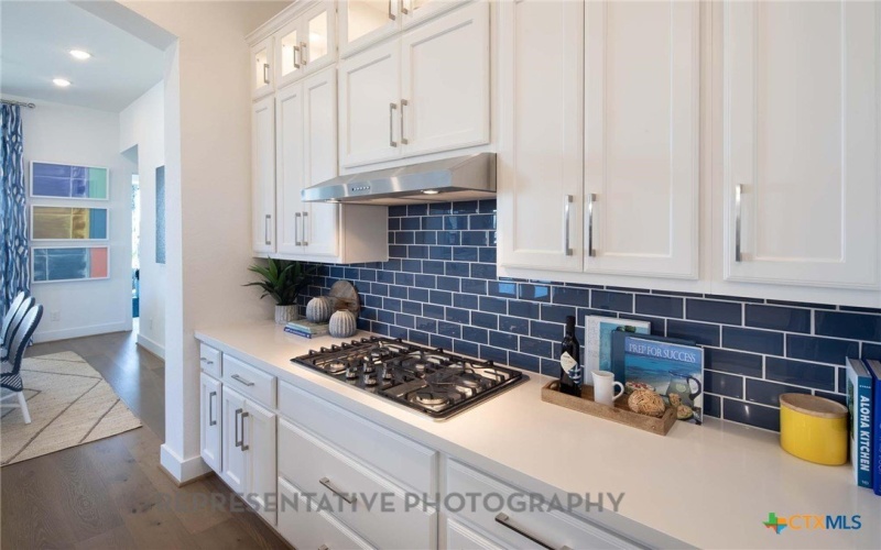 340 Fountain Grass Drive, San Marcos, TX 78666, 3 Habitaciones Habitaciones , ,2 BañosBaños,Residential,En Venta,340 Fountain Grass Drive,588679