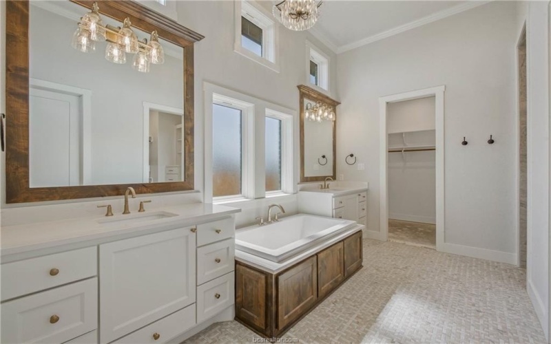 4833 White Ash Court, College Station, TX 77845, 5 Habitaciones Habitaciones , ,5 BañosBaños,Residential,En Venta,4833 White Ash Court,25008591