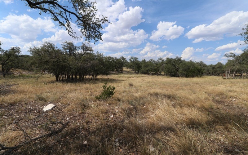 449 Nott Branch Rd, Harper, TX 78631, 4 Bedrooms Bedrooms, ,2 BathroomsBathrooms,Residential,For Sale,449 Nott Branch Rd,119963