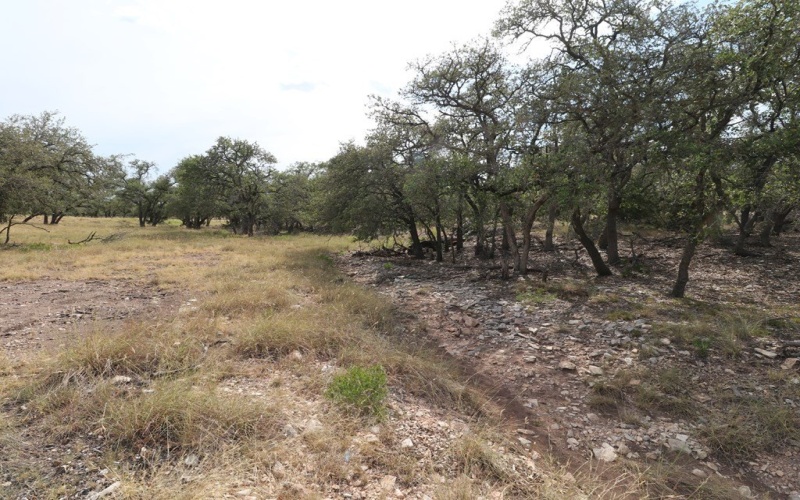 449 Nott Branch Rd, Harper, TX 78631, 4 Bedrooms Bedrooms, ,2 BathroomsBathrooms,Residential,For Sale,449 Nott Branch Rd,119963