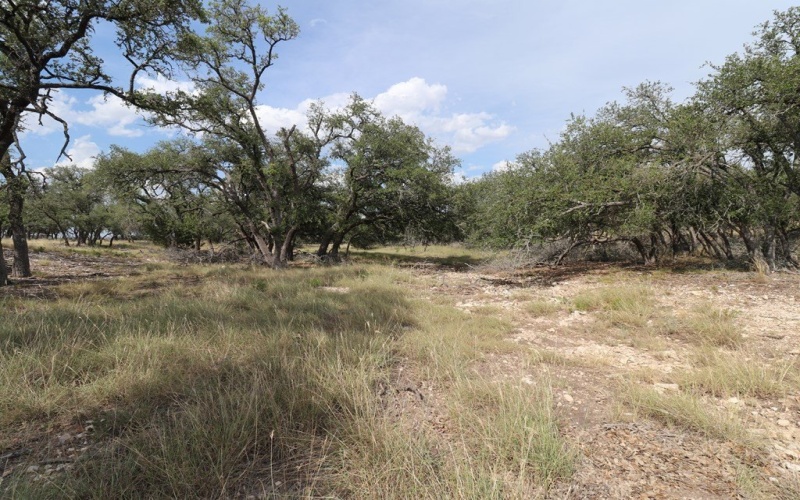 449 Nott Branch Rd, Harper, TX 78631, 4 Bedrooms Bedrooms, ,2 BathroomsBathrooms,Residential,For Sale,449 Nott Branch Rd,119963