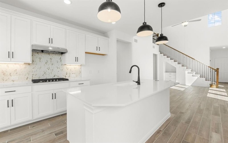 3901 Lynx Court, Little Elm, TX 76227, 3 Bedrooms Bedrooms, ,2 BathroomsBathrooms,Residential,For Sale,3901 Lynx Court,0,21023583
