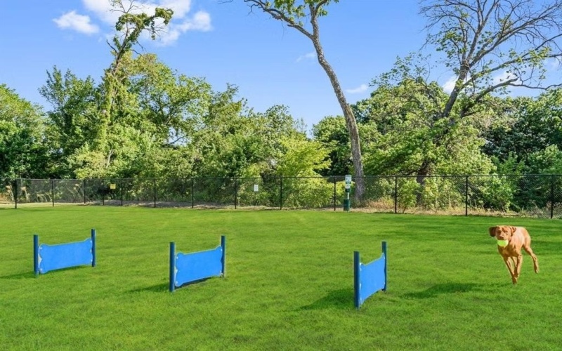 1007 Sedona Trail, Justin, TX 76247, 4 Bedrooms Bedrooms, ,2 BathroomsBathrooms,Residential,For Sale,1007 Sedona Trail,0,21022939