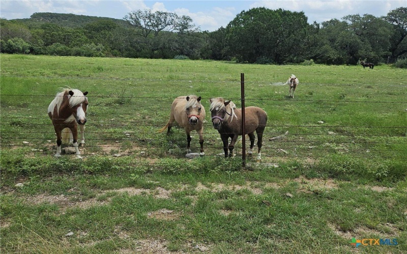 1644 County Road 335, Burnet, TX 78611, ,Other,For Sale,1644 County Road 335,586277