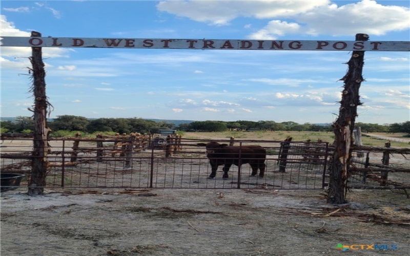 1644 County Road 335, Burnet, TX 78611, ,Other,For Sale,1644 County Road 335,586277