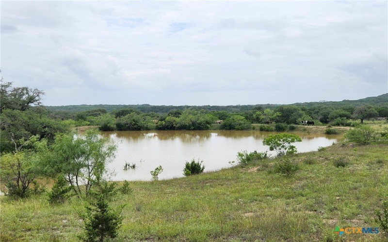 1644 County Road 335, Burnet, TX 78611, ,Other,For Sale,1644 County Road 335,586277