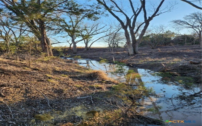 1644 County Road 335, Burnet, TX 78611, ,Other,For Sale,1644 County Road 335,586277