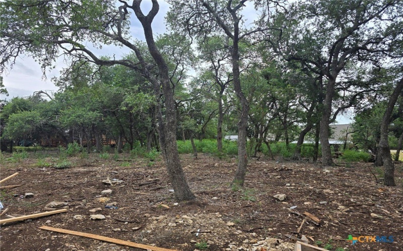 2213 Deer Run Pass, Canyon Lake, TX 78133, 3 Bedrooms Bedrooms, ,2 BathroomsBathrooms,Residential,For Sale,2213 Deer Run Pass,588968