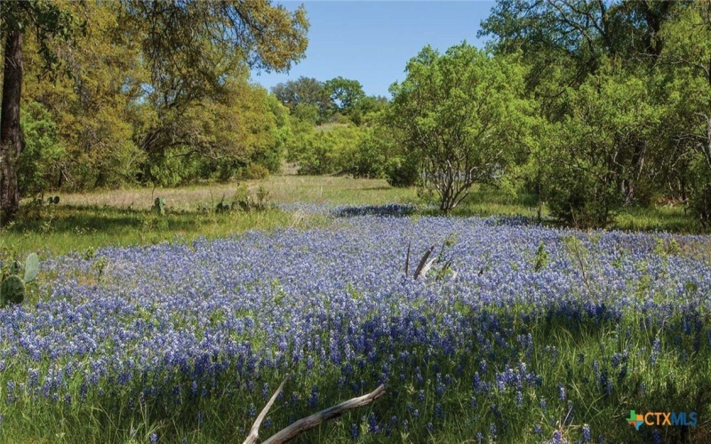 245 Jates Field Bend, Liberty Hill, TX 78642, 6 Habitaciones Habitaciones , ,7 BañosBaños,Residential,En Venta,245 Jates Field Bend,0,571818