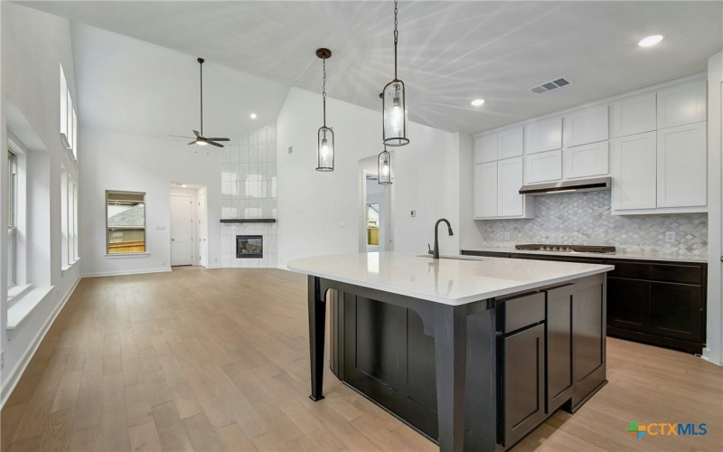 1842 Nettletree Road, New Braunfels, TX 78132, 3 Bedrooms Bedrooms, ,2 BathroomsBathrooms,Residential,For Sale,1842 Nettletree Road,0,583945