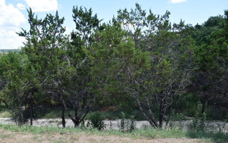 106 SW Hunters Pointe Dr, Kerrville, TX 75028, 4 Habitaciones Habitaciones , ,2 BañosBaños,Residential,En Venta,106 SW Hunters Pointe Dr,0,120006