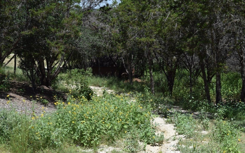 106 SW Hunters Pointe Dr, Kerrville, TX 75028, 4 Habitaciones Habitaciones , ,2 BañosBaños,Residential,En Venta,106 SW Hunters Pointe Dr,0,120006