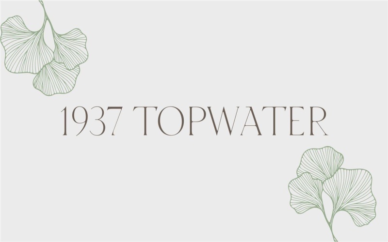 1937 Topwater, Aransas Pass, TX 78336, 4 Bedrooms Bedrooms, ,2 BathroomsBathrooms,Residential,For Sale,1937 Topwater,0,463205
