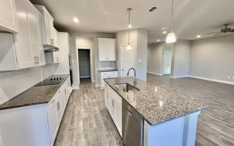 307 LELO Lane, Mansfield, TX 76063, 4 Bedrooms Bedrooms, ,3 BathroomsBathrooms,Residential,For Sale,307 LELO Lane,0,21026385