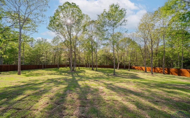 175 Thorn Briar Trail, Longview, TX 75602, 4 Bedrooms Bedrooms, ,3 BathroomsBathrooms,Residential,For Sale,175 Thorn Briar Trail,0,20255552