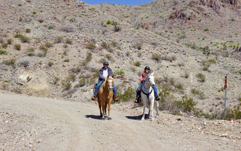 700 Gate 9 Road, Terlingua, TX 79852, 4 Habitaciones Habitaciones , ,3 BañosBaños,Residential,En Venta,700 Gate 9 Road,0,162317