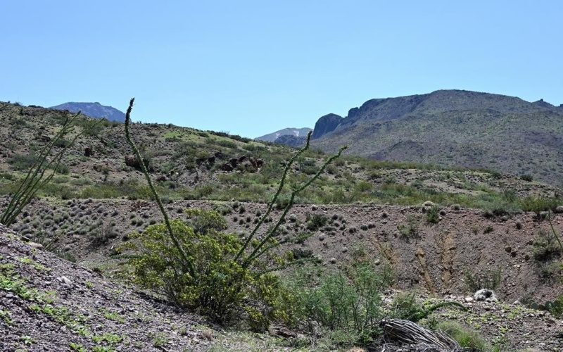 700 Gate 9 Road, Terlingua, TX 79852, 4 Habitaciones Habitaciones , ,3 BañosBaños,Residential,En Venta,700 Gate 9 Road,0,162317