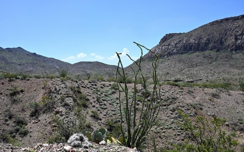 700 Gate 9 Road, Terlingua, TX 79852, 4 Habitaciones Habitaciones , ,3 BañosBaños,Residential,En Venta,700 Gate 9 Road,0,162317