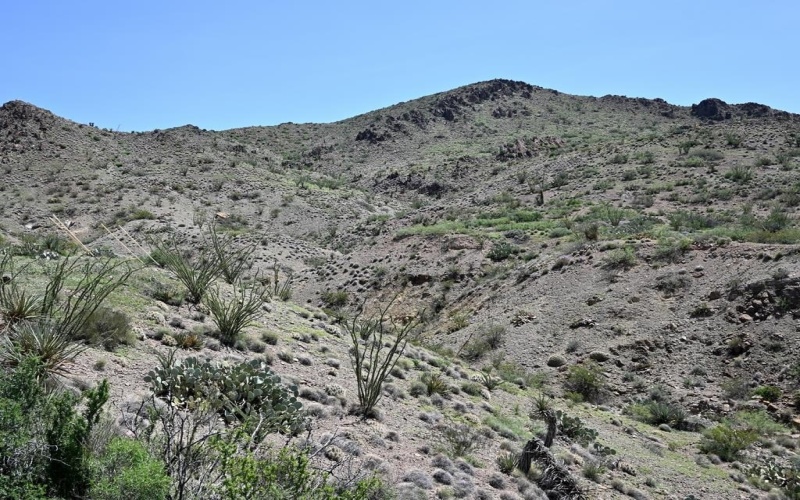 700 Gate 9 Road, Terlingua, TX 79852, 4 Habitaciones Habitaciones , ,3 BañosBaños,Residential,En Venta,700 Gate 9 Road,0,162317