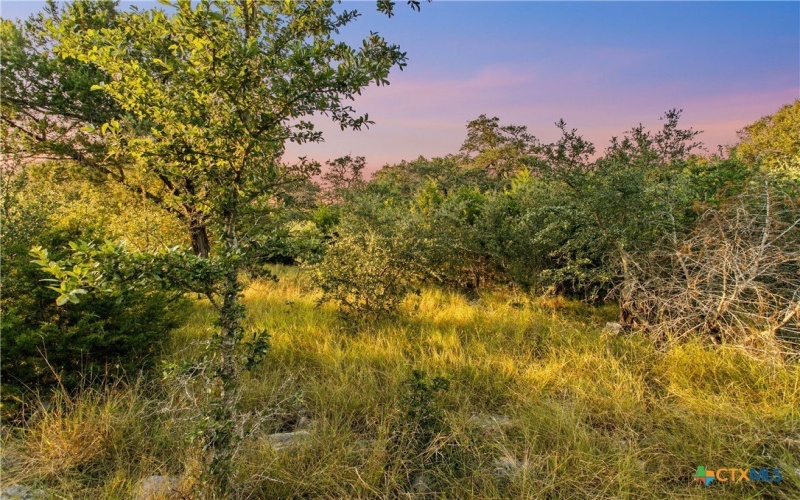 322 Lookout Ridge, New Braunfels, TX 78132, 3 Habitaciones Habitaciones , ,2 BañosBaños,Residential,En Venta,322 Lookout Ridge,0,589426