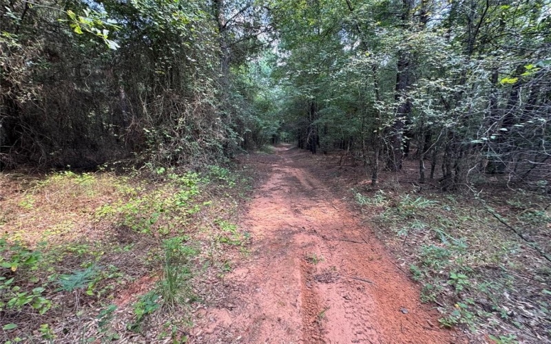 000 Meadow View Lane, Flint, TX 75762, ,Commercial Sale,En Venta,000 Meadow View Lane,0,21030012