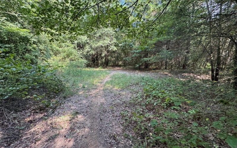 000 Meadow View Lane, Flint, TX 75762, ,Commercial Sale,En Venta,000 Meadow View Lane,0,21030012