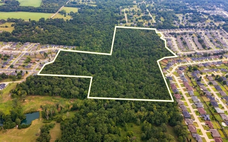 000 Meadow View Lane, Flint, TX 75762, ,Commercial Sale,En Venta,000 Meadow View Lane,0,21030012