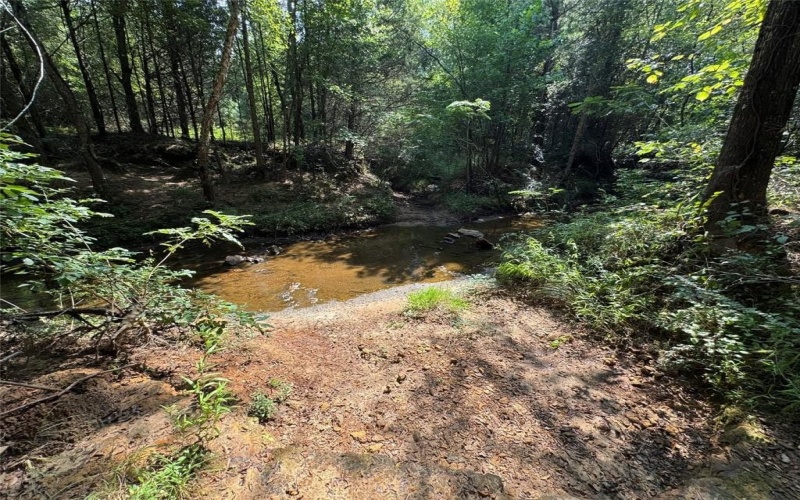 000 Meadow View Lane, Flint, TX 75762, ,Commercial Sale,En Venta,000 Meadow View Lane,0,21030012