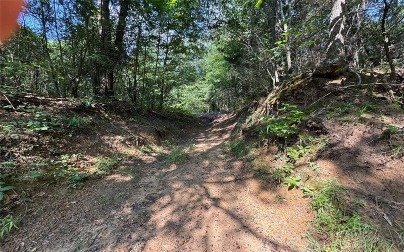 000 Meadow View Lane, Flint, TX 75762, ,Commercial Sale,En Venta,000 Meadow View Lane,0,21030012