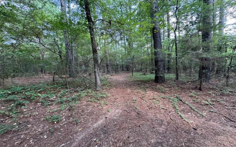 000 Meadow View Lane, Flint, TX 75762, ,Commercial Sale,En Venta,000 Meadow View Lane,0,21030012