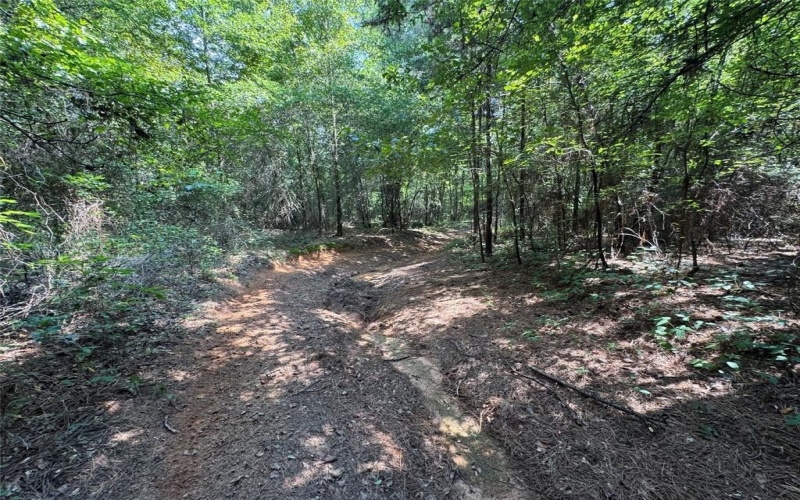 000 Meadow View Lane, Flint, TX 75762, ,Commercial Sale,En Venta,000 Meadow View Lane,0,21030012