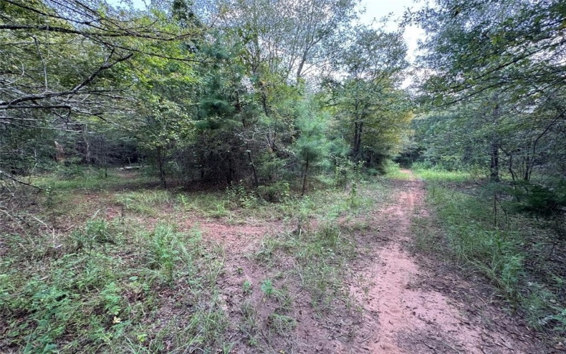 000 Meadow View Lane, Flint, TX 75762, ,Commercial Sale,En Venta,000 Meadow View Lane,0,21030012