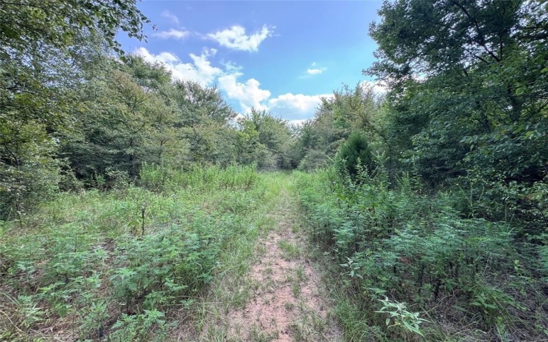 000 Meadow View Lane, Flint, TX 75762, ,Commercial Sale,En Venta,000 Meadow View Lane,0,21030012