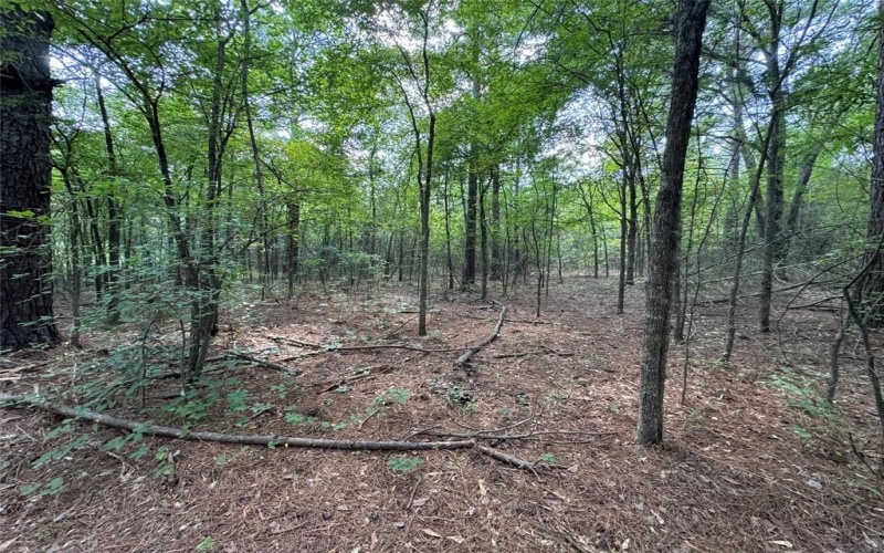000 Meadow View Lane, Flint, TX 75762, ,Commercial Sale,En Venta,000 Meadow View Lane,0,21030012