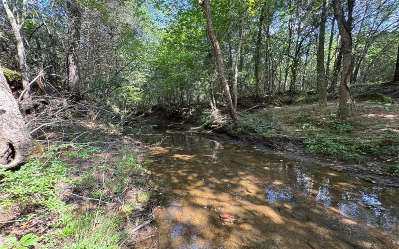 000 Meadow View Lane, Flint, TX 75762, ,Commercial Sale,En Venta,000 Meadow View Lane,0,21030012