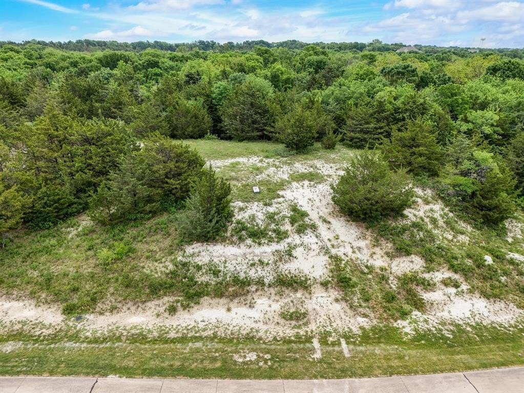 Lot 3 Creek Canyon Lane, McKinney, TX 75071, ,Land,For Sale,Lot 3 Creek Canyon Lane,0,21030065