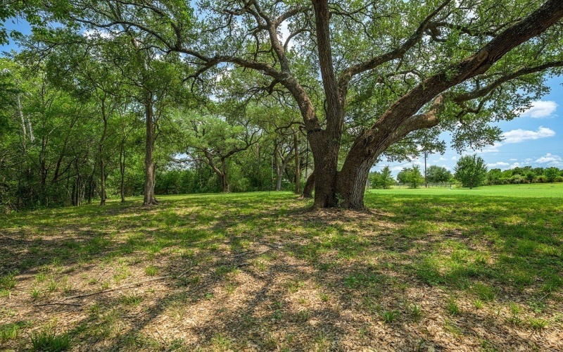 8390 Schuster Road, Ledbetter, TX 78946, 2 Habitaciones Habitaciones , ,2 BañosBaños,Granja,En Venta,8390 Schuster Road,0,152845