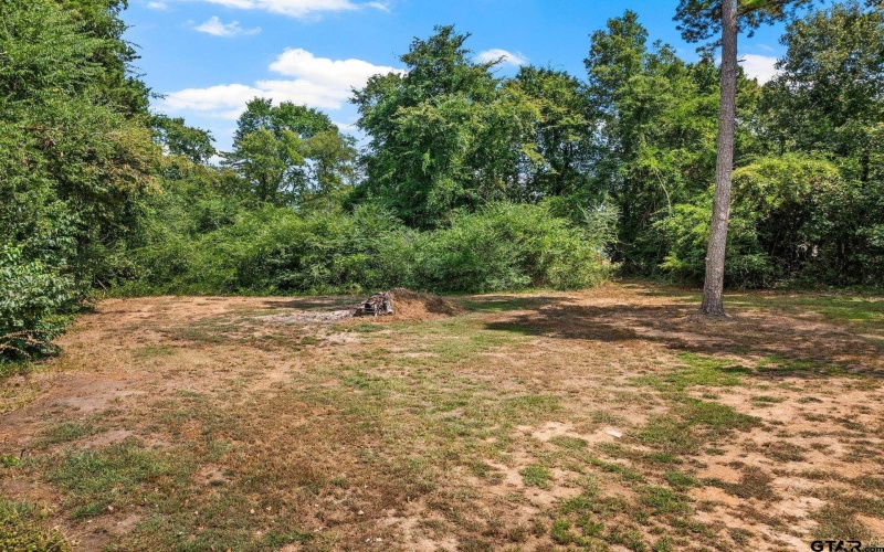 251 County Road 2603, Pittsburg, TX 75686, 4 Bedrooms Bedrooms, ,2 BathroomsBathrooms,Residential,For Sale,251 County Road 2603,0,25012268