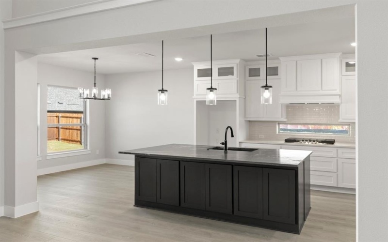 2008 Burriana, Little Elm, TX 75068, 5 Bedrooms Bedrooms, ,5 BathroomsBathrooms,Residential,For Sale,2008 Burriana,0,21030881