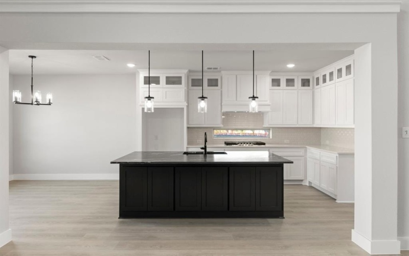 2008 Burriana, Little Elm, TX 75068, 5 Bedrooms Bedrooms, ,5 BathroomsBathrooms,Residential,For Sale,2008 Burriana,0,21030881