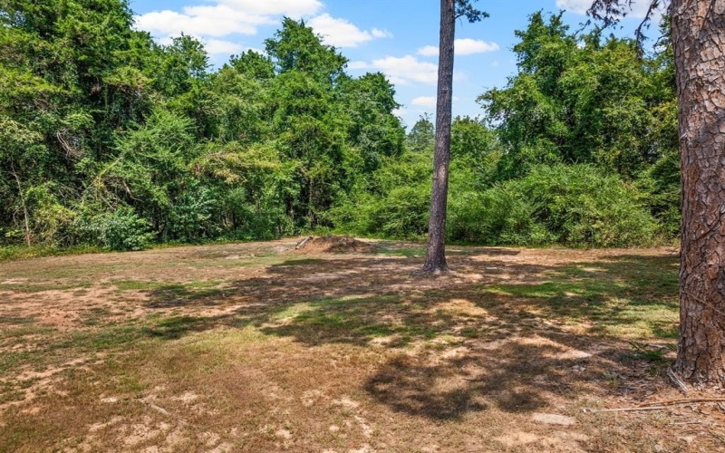251 County Road 2603, Pittsburg, TX 75686, 4 Bedrooms Bedrooms, ,2 BathroomsBathrooms,Residential,For Sale,251 County Road 2603,0,21031296