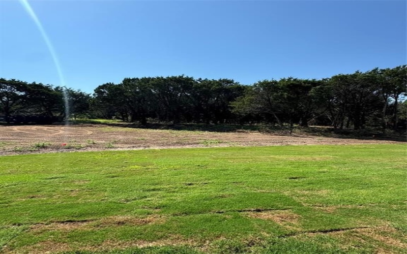 409 Creekside, Weatherford, TX 76087, 4 Bedrooms Bedrooms, ,2 BathroomsBathrooms,Residential,For Sale,409 Creekside,0,21028239