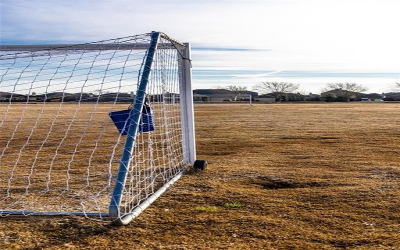 1717 Etosha Drive, Royse City, TX 75189, 4 Habitaciones Habitaciones , ,2 BañosBaños,Residential,En Venta,1717 Etosha Drive,0,21033147