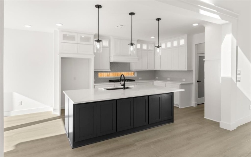 14032 Alfafar Court, Little Elm, TX 75068, 6 Bedrooms Bedrooms, ,5 BathroomsBathrooms,Residential,For Sale,14032 Alfafar Court,0,21034233