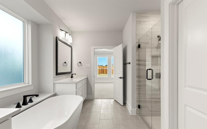 13709 Riola Drive, Little Elm, TX 75068, 5 Bedrooms Bedrooms, ,5 BathroomsBathrooms,Residential,For Sale,13709 Riola Drive,0,21034243