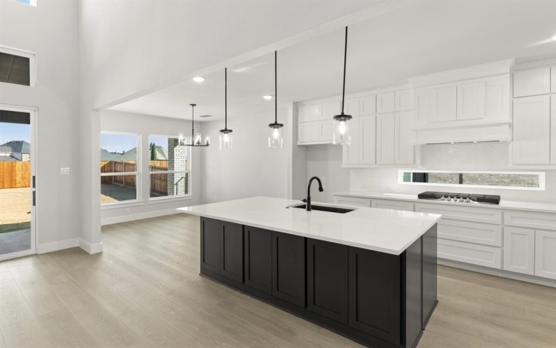 13709 Riola Drive, Little Elm, TX 75068, 5 Bedrooms Bedrooms, ,5 BathroomsBathrooms,Residential,For Sale,13709 Riola Drive,0,21034243